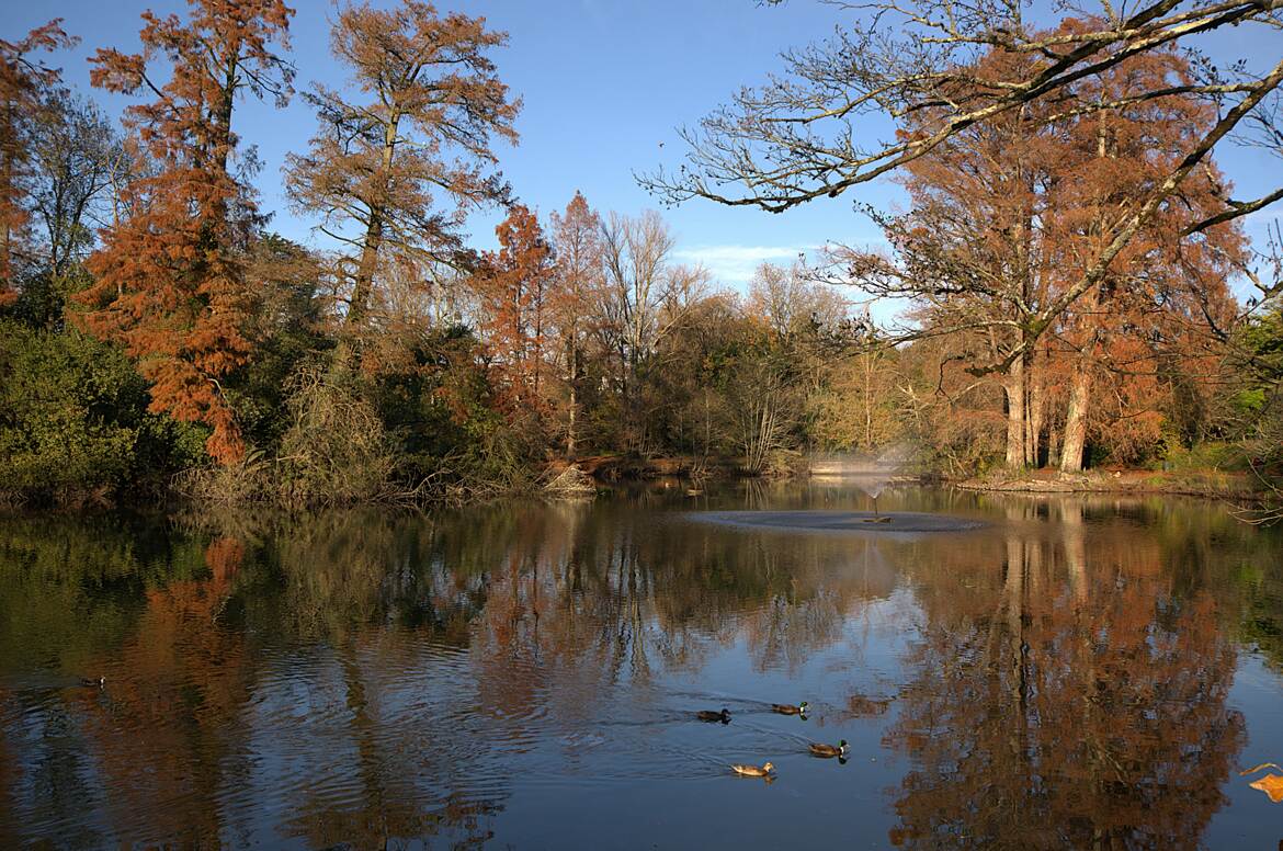 Couleurs d'automne