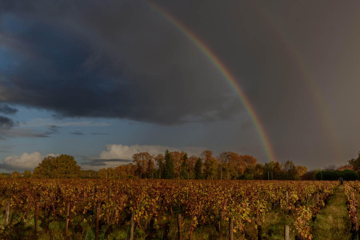 c'est l'automne