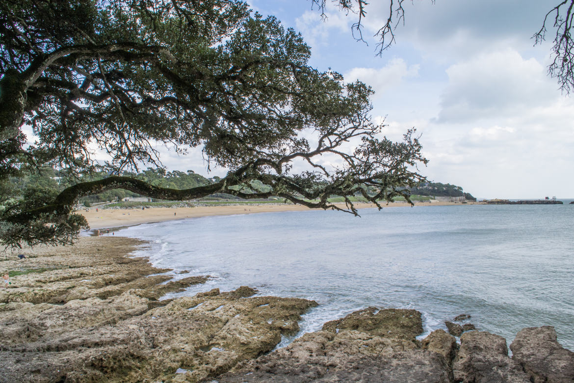 Un coin de paradis