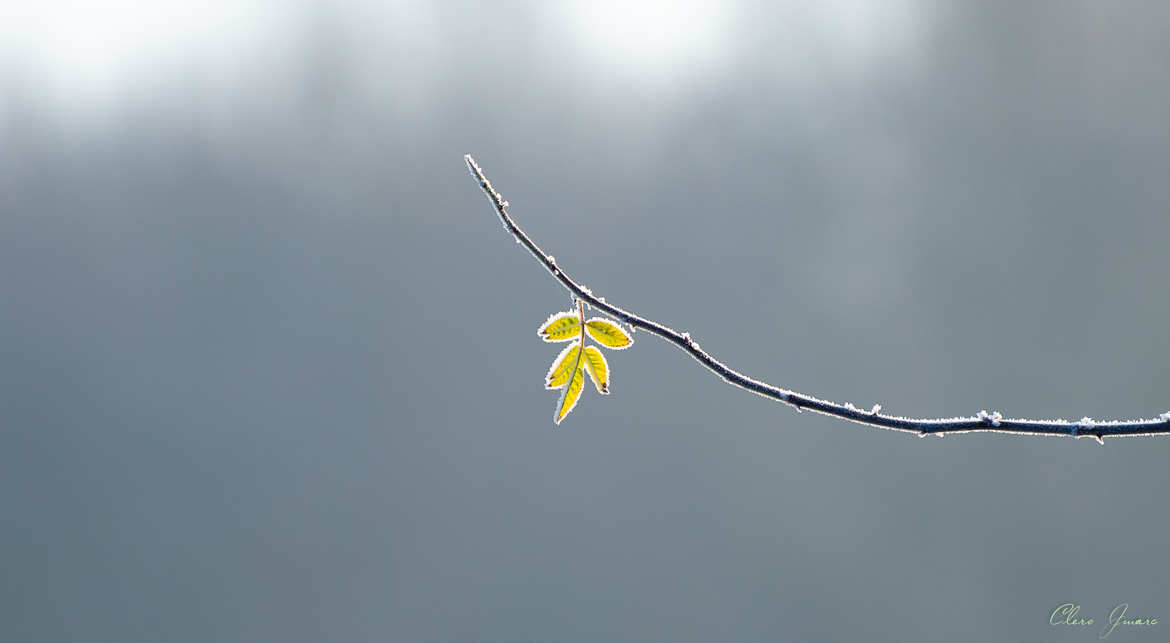 Qui a dérègler le temps