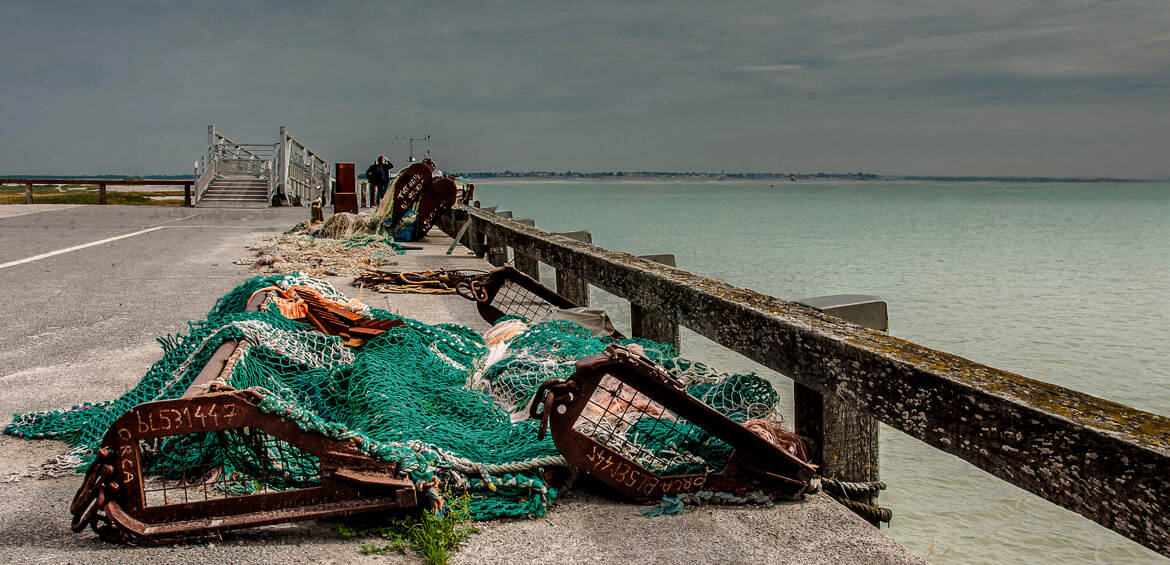 Après la pêche en Baie de Somme