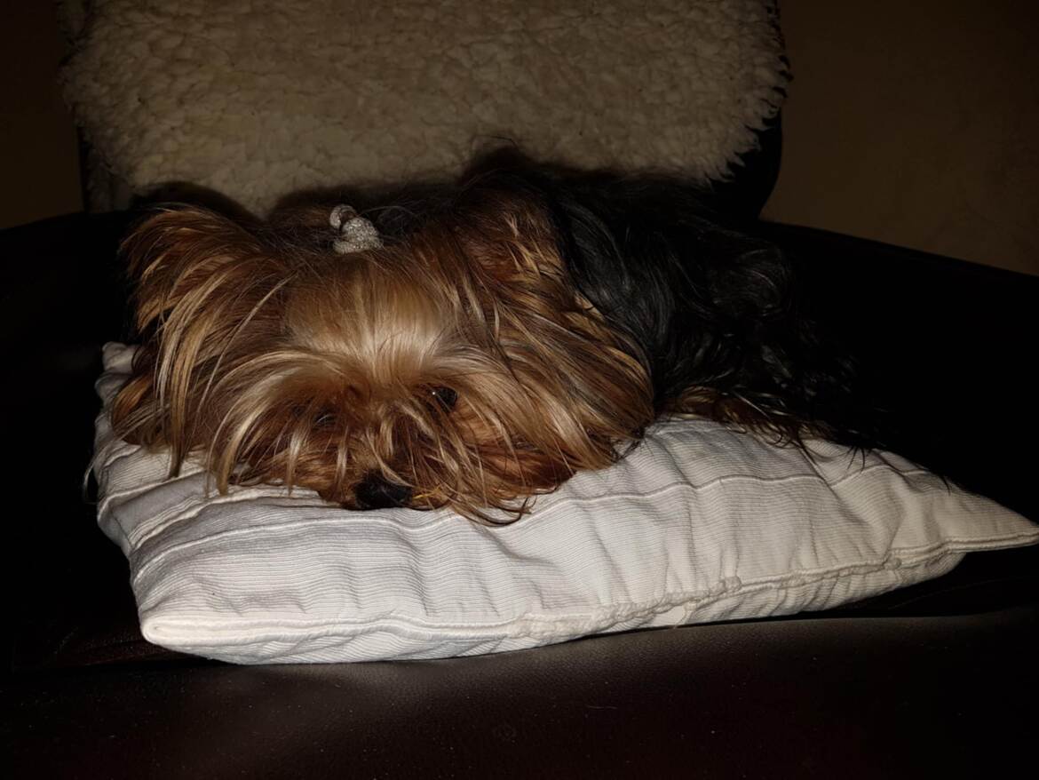 On ne dirait pas, mais je vous vois !