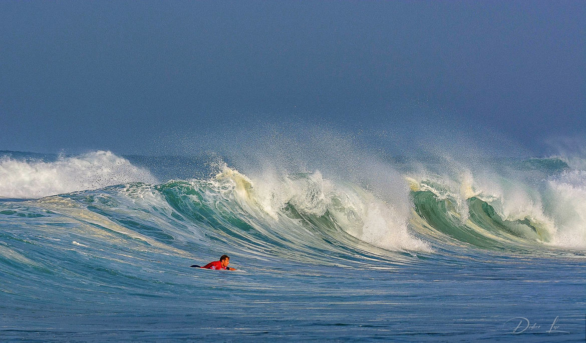 le surfeur et la vague