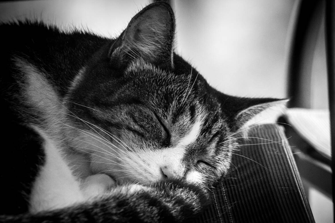 le marchand de sable est passé