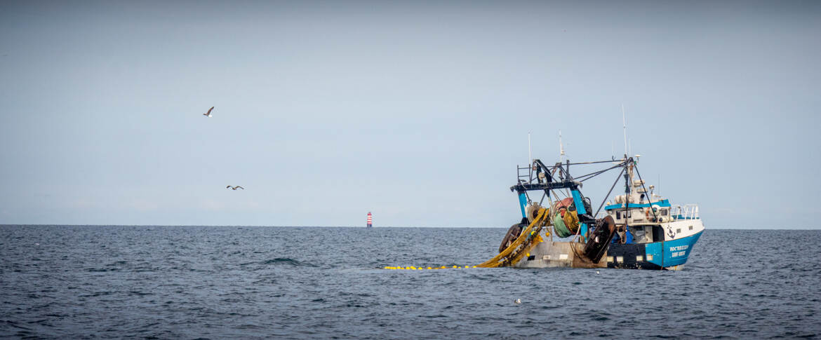 la pêche