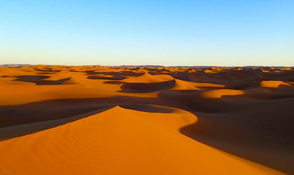 Plénitude dans le désert