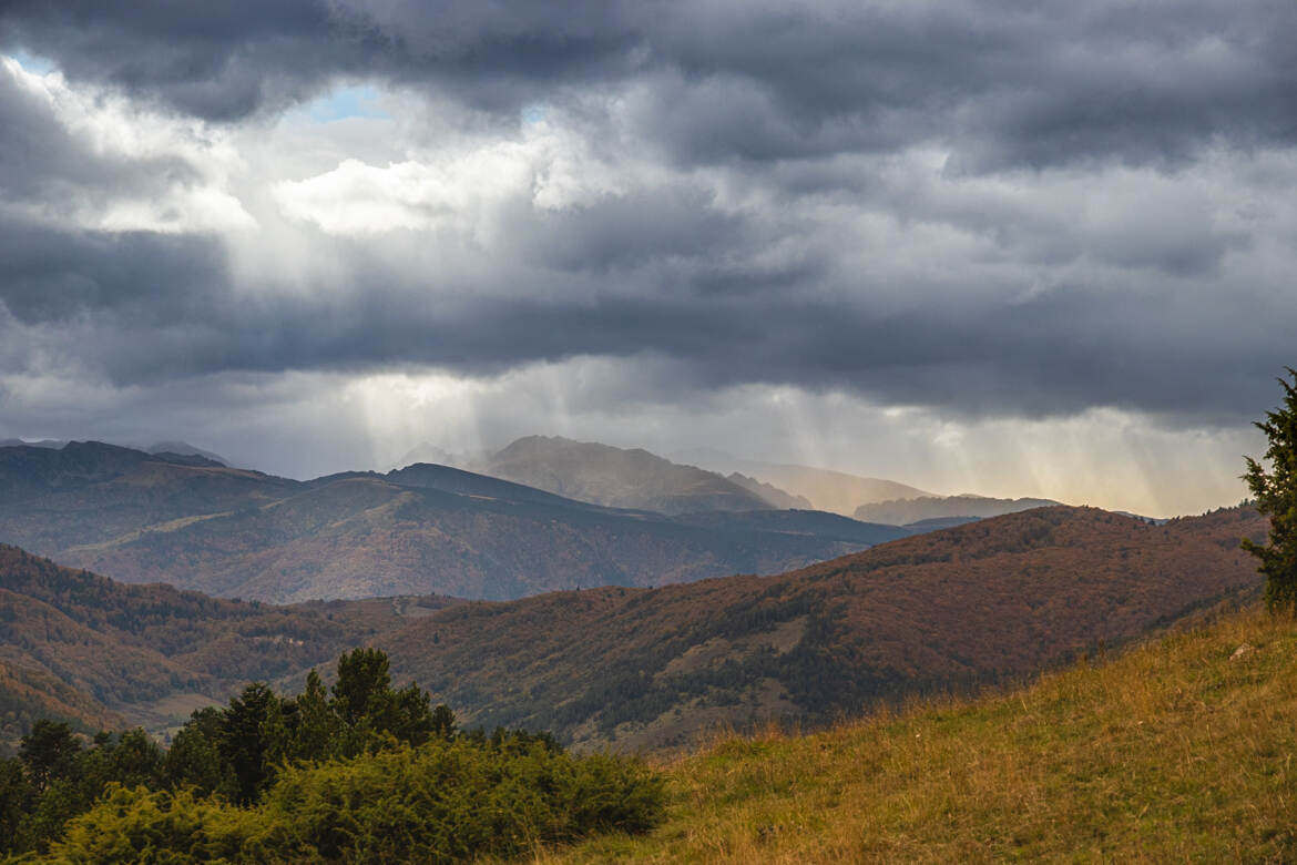 Ambiance d'automne