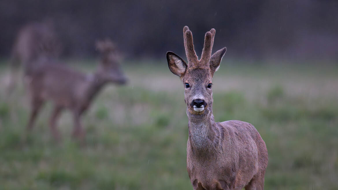 Une belle proximité