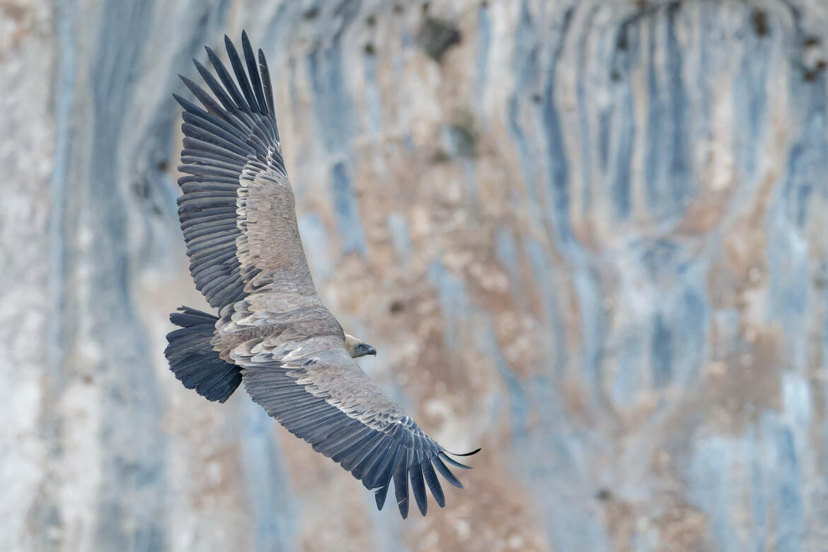 Au coeur des falaises.