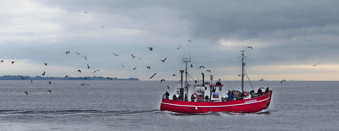 Un bateau à la mer