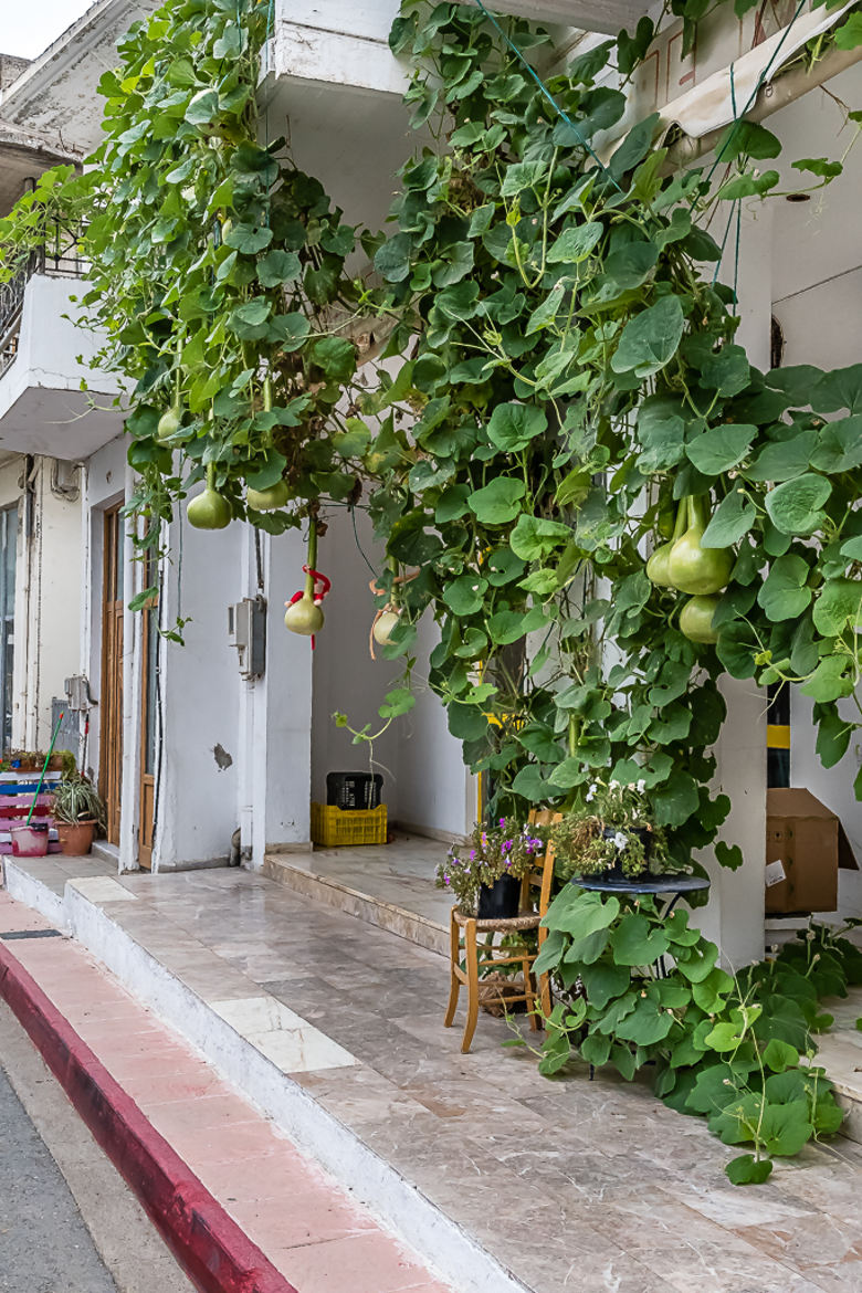 Dans la Crête profonde, ruelle 6