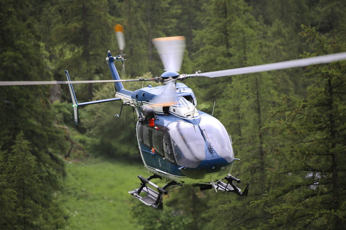 Exercice au cœur de la forêt.