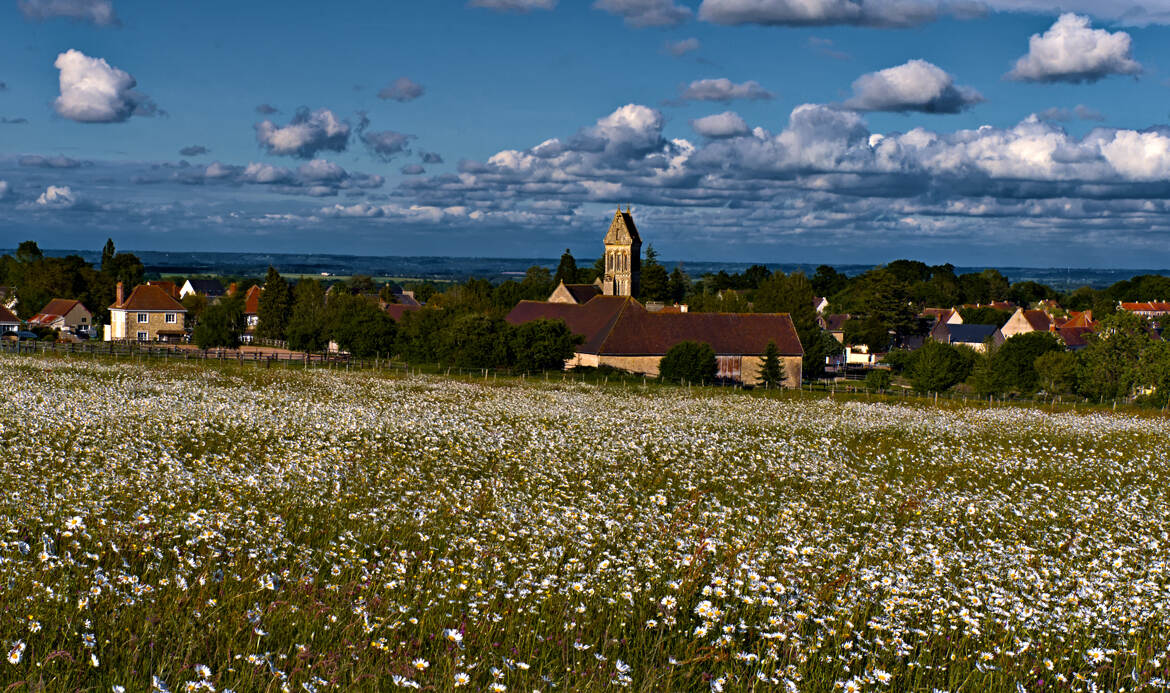 Ruralité (10)