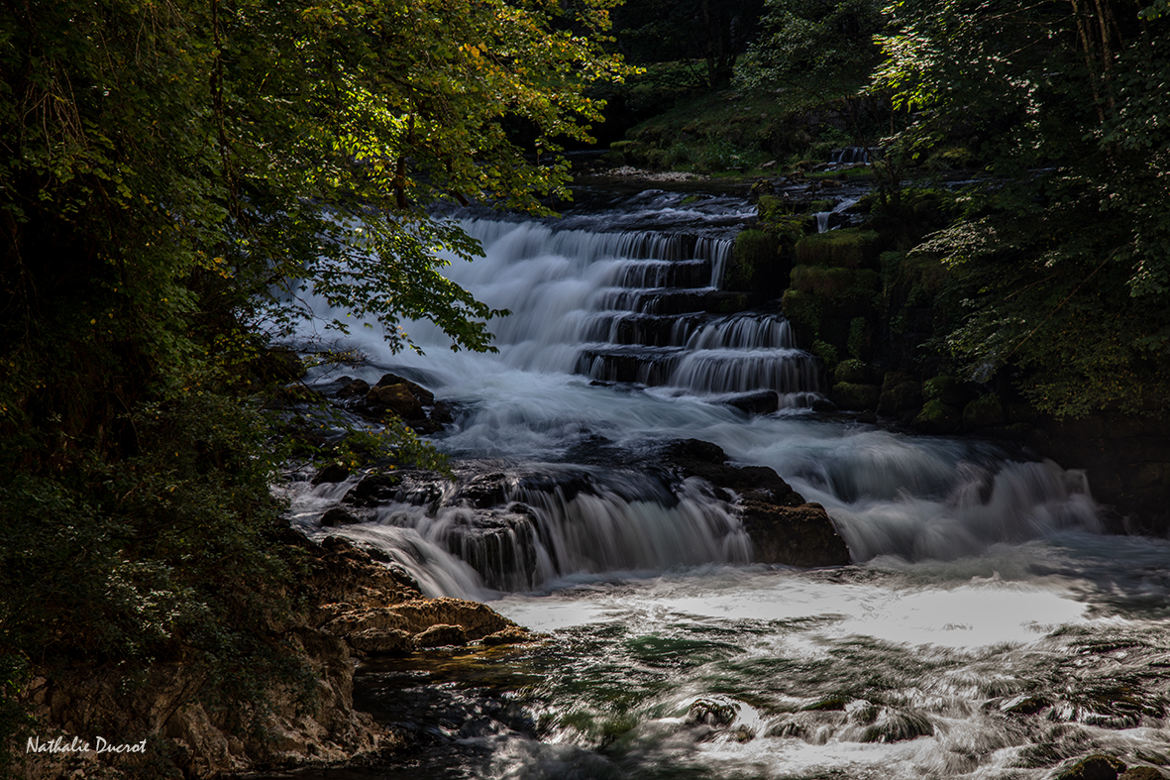 un moment de fraîcheur