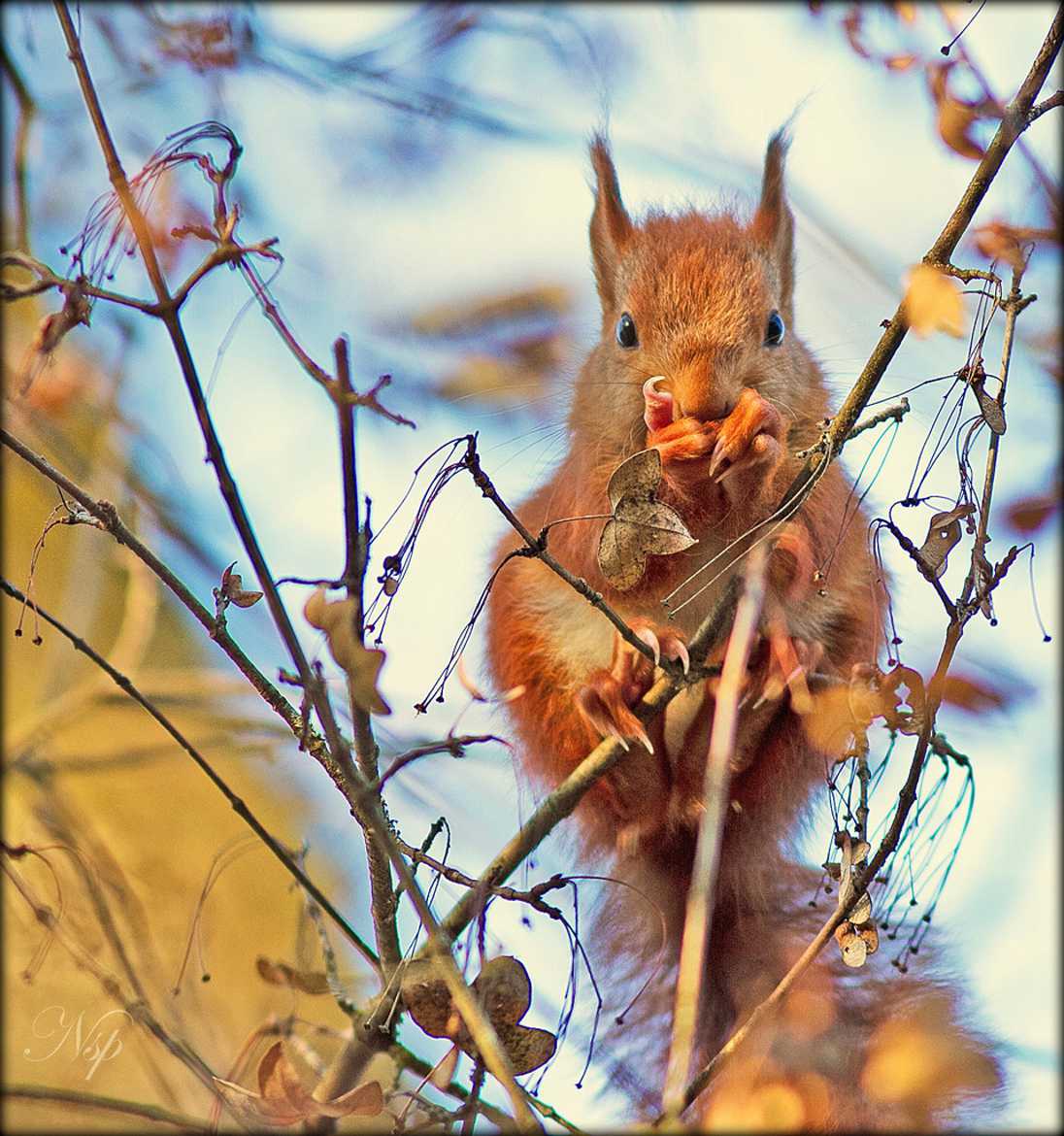 Adorable petite bouille... <3