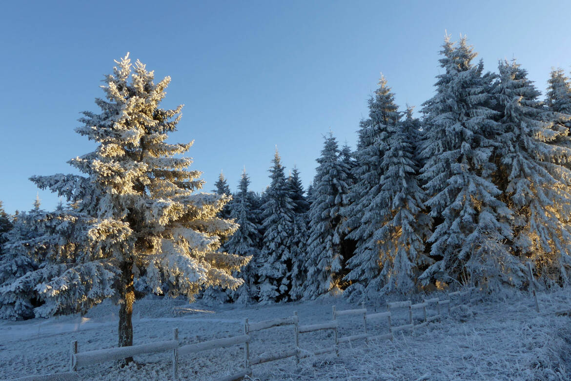 La force tranquille de la nature
