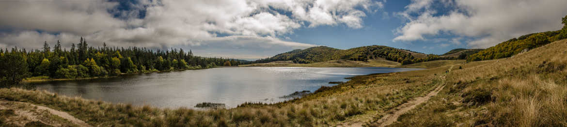 entre forêt et colline