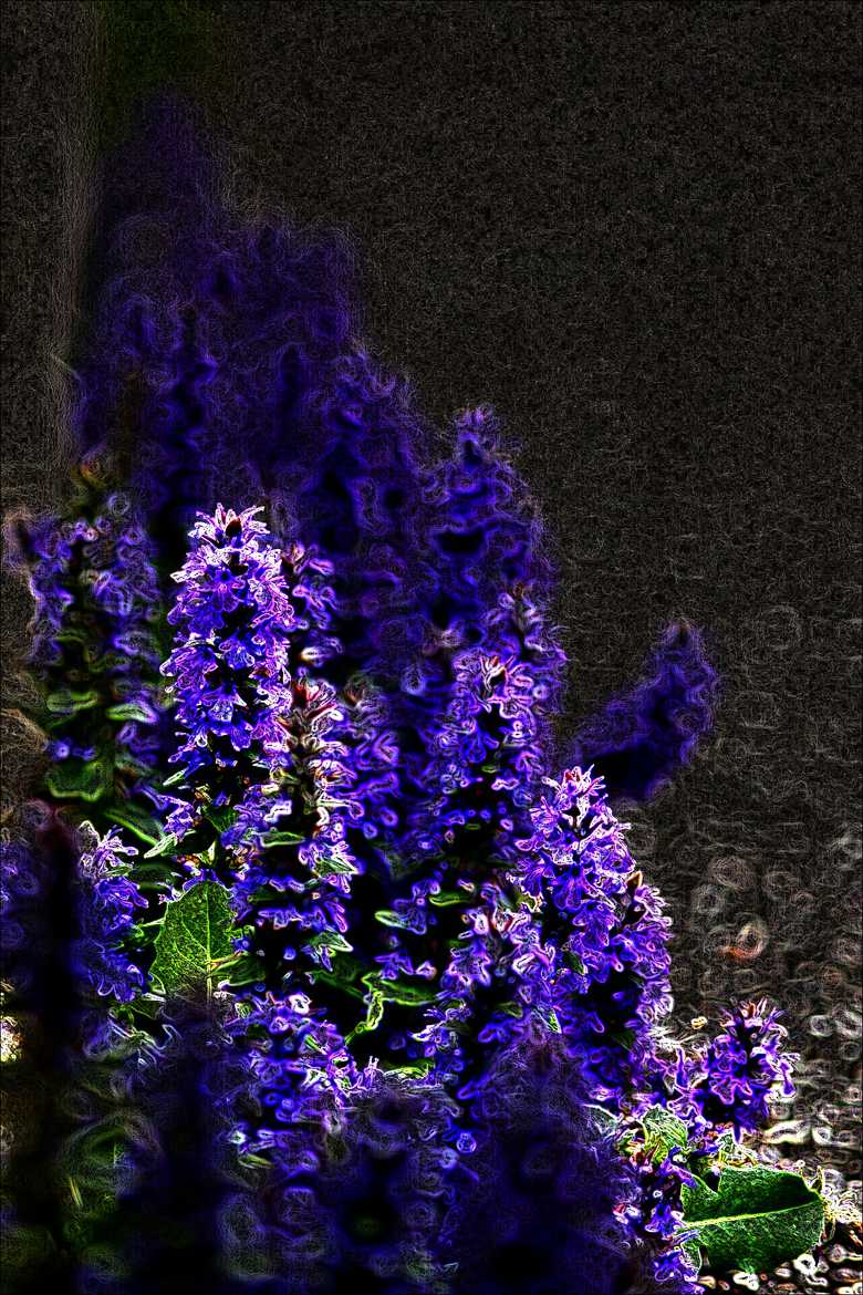 bordure de fleurs bleues