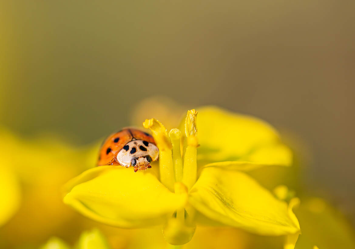Une petite pause...ou pose!!