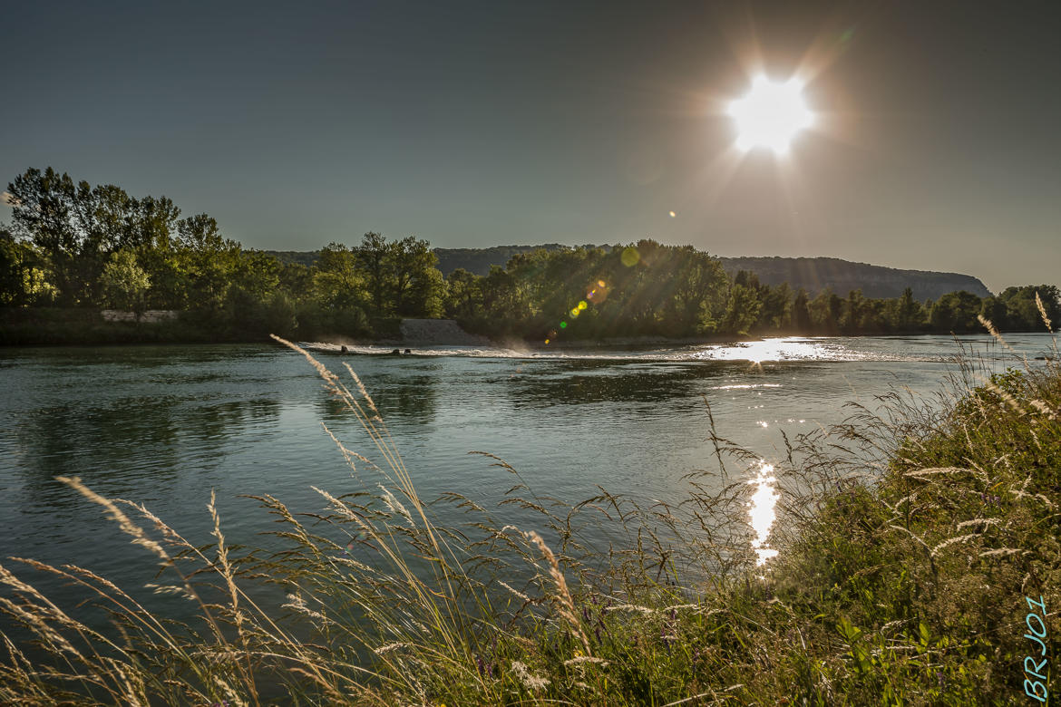 Au bord du Rhône