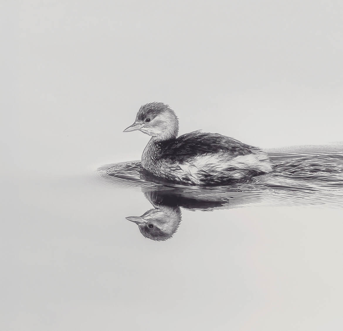 Petit bouchon sur l'eau