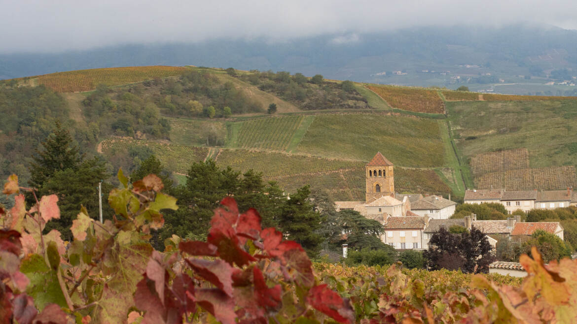 Salles Arbuissonnas en automne