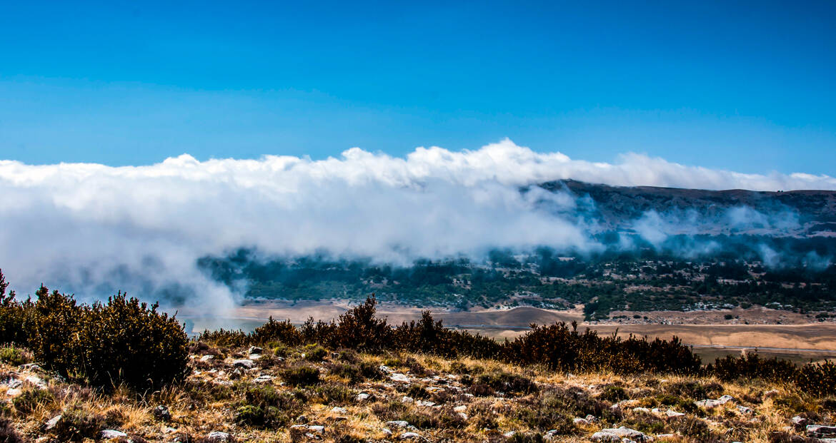 Ca vole bas les nuages