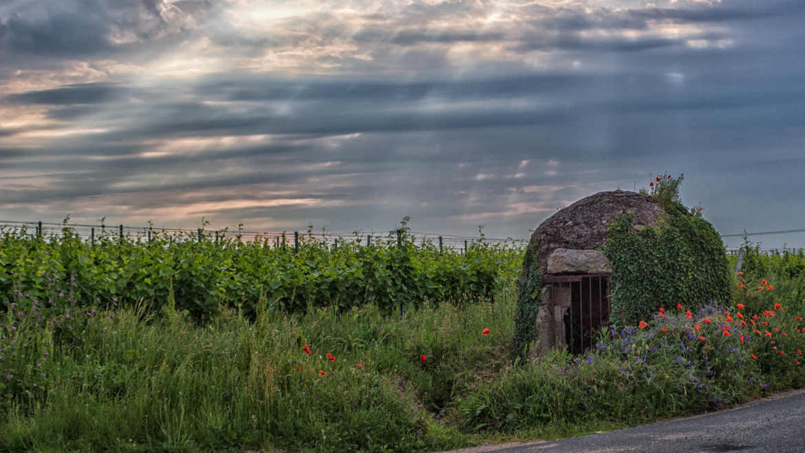 Vieux  puits en beaujolais.