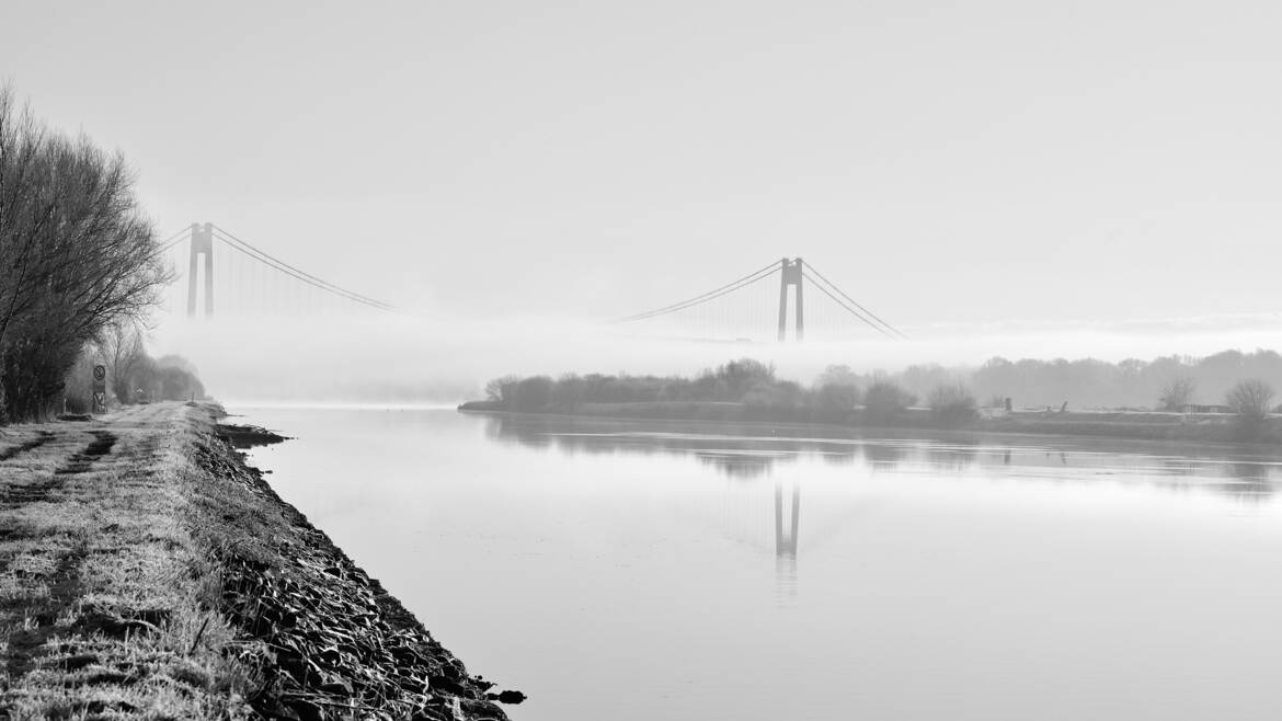 Les pieds dans la brume
