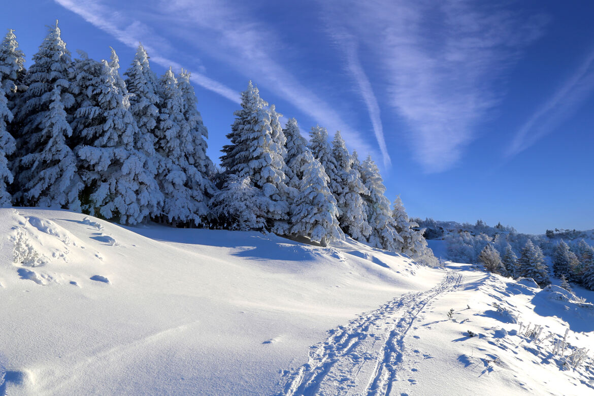 Sur la trace des nuages