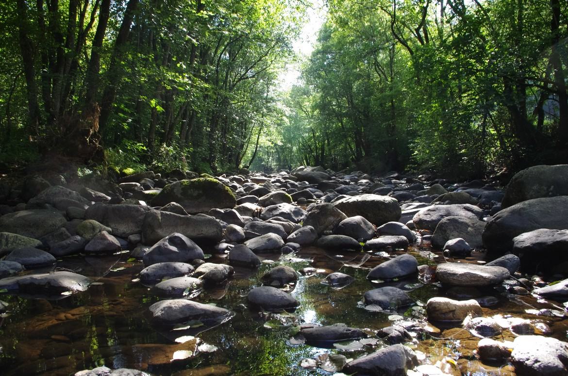 La rivière de cailloux