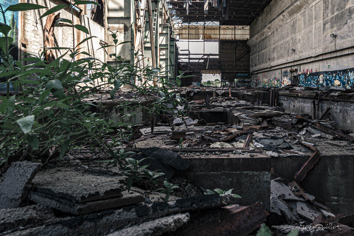 Reprendre ses droits