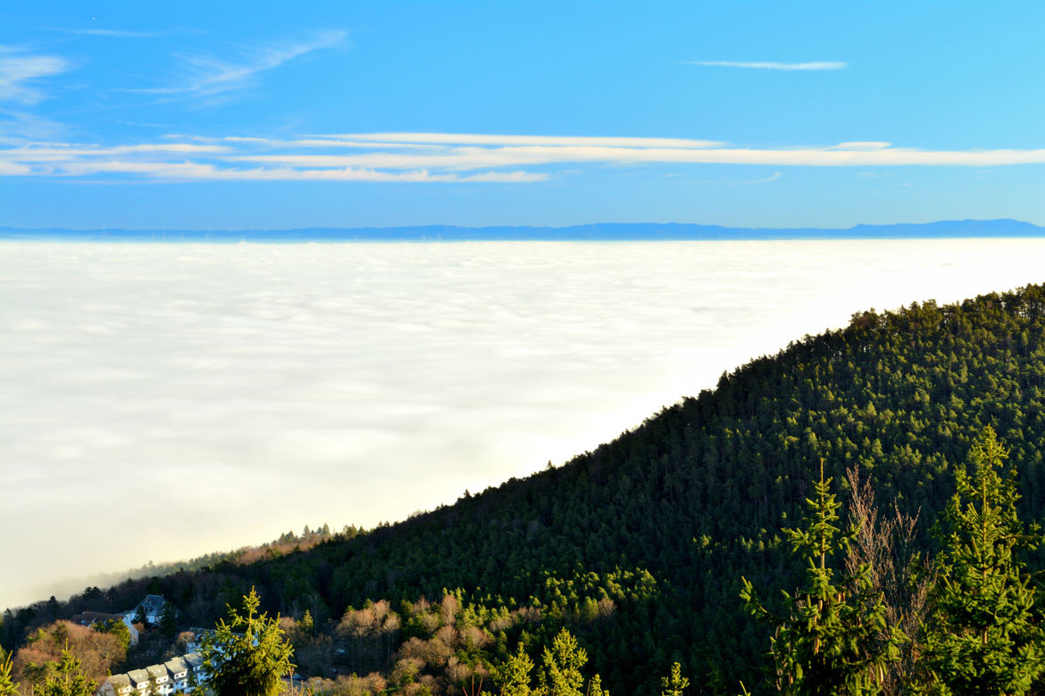 mer de nuage sur la plaine d'alsace