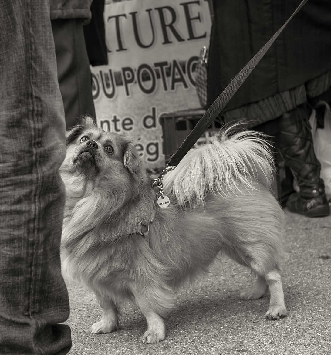 une gourmandise s'il te plaît