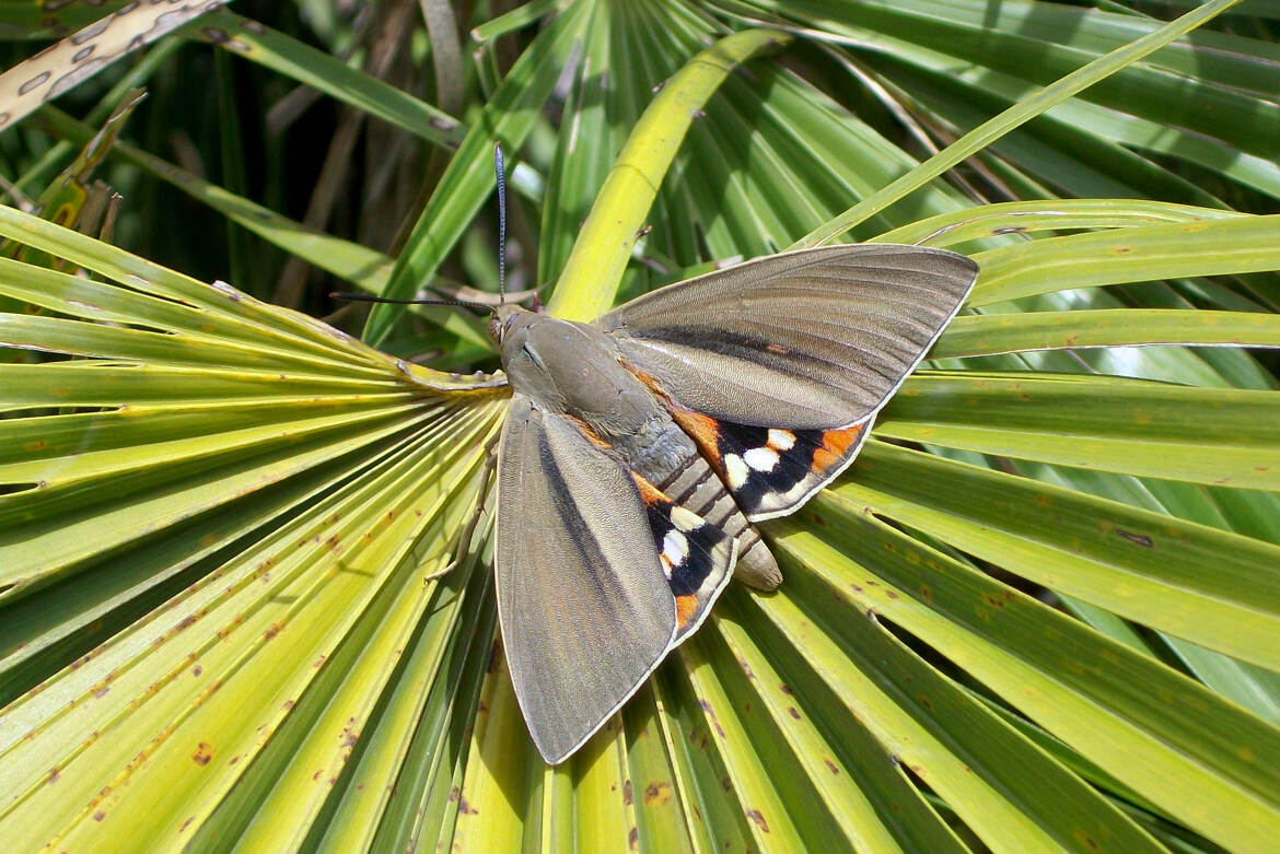 pas temp d aller voir la mer
