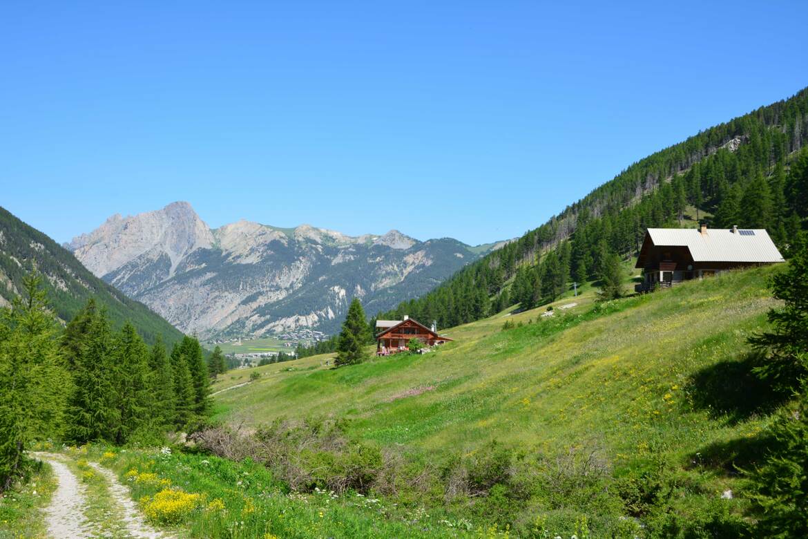 Les alpages du Queyras