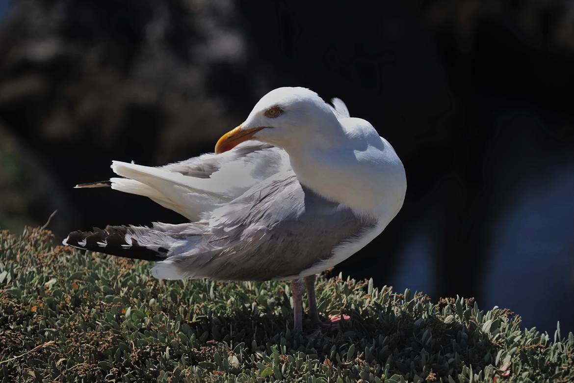 J'ai horreur qu'on me prenne en photo pendant mon décrassage