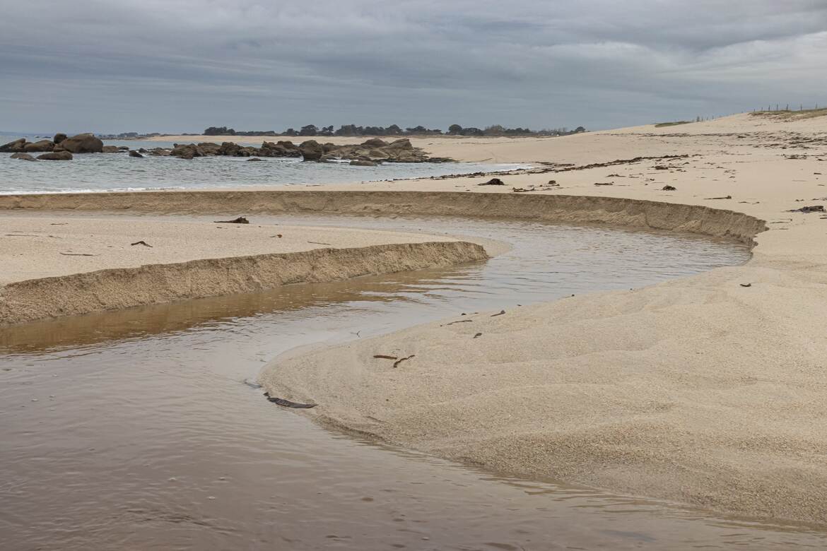 Rivière de plage