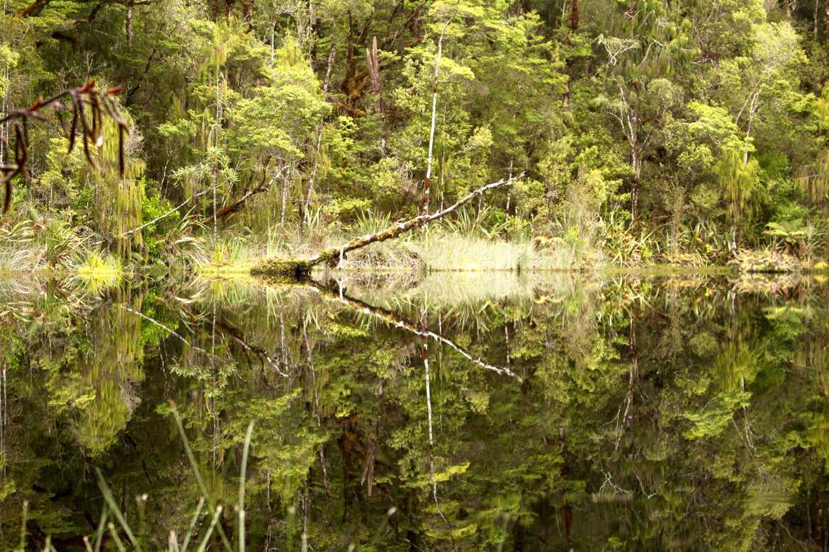 miror lake, Nouvelle Zelande