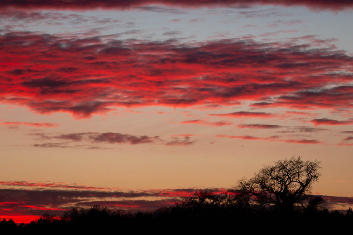 Ciel rouge