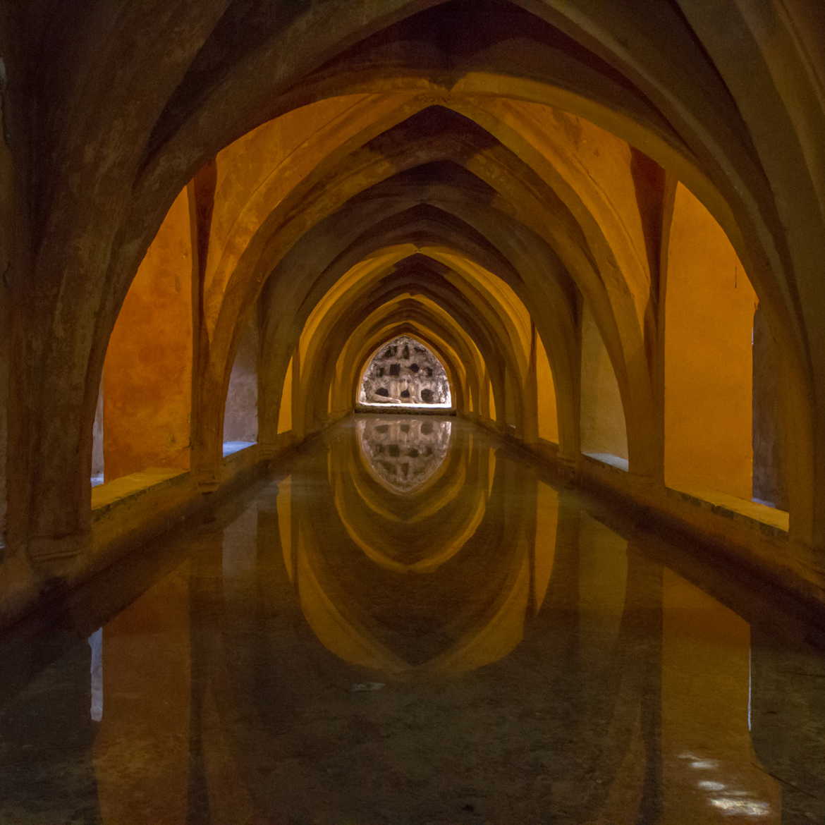 Les bains de l'Alcazar de Séville