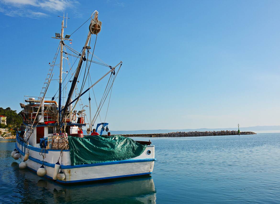 Carte postale marine