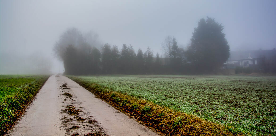 Apparition dans la brume