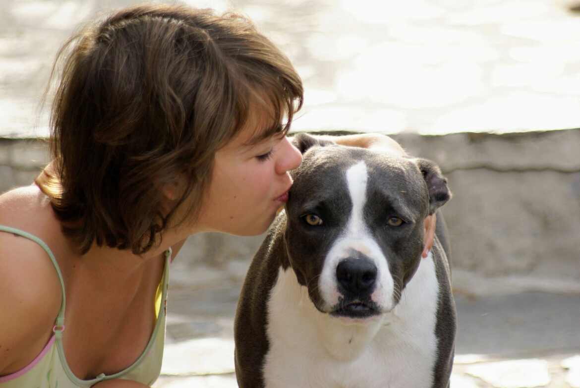 La belle et la bête