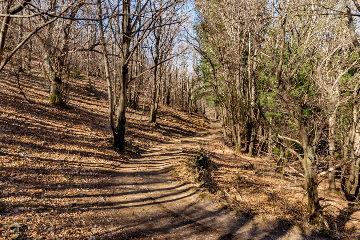 Chemin