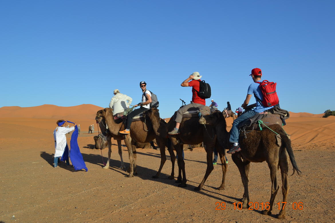 Balade chameaux Merzouga Maroc