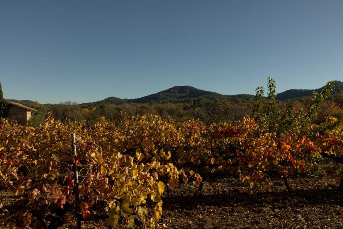 Couleurs d'automne