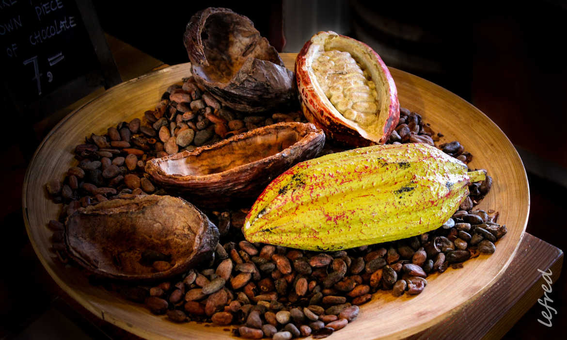 Pure cacao