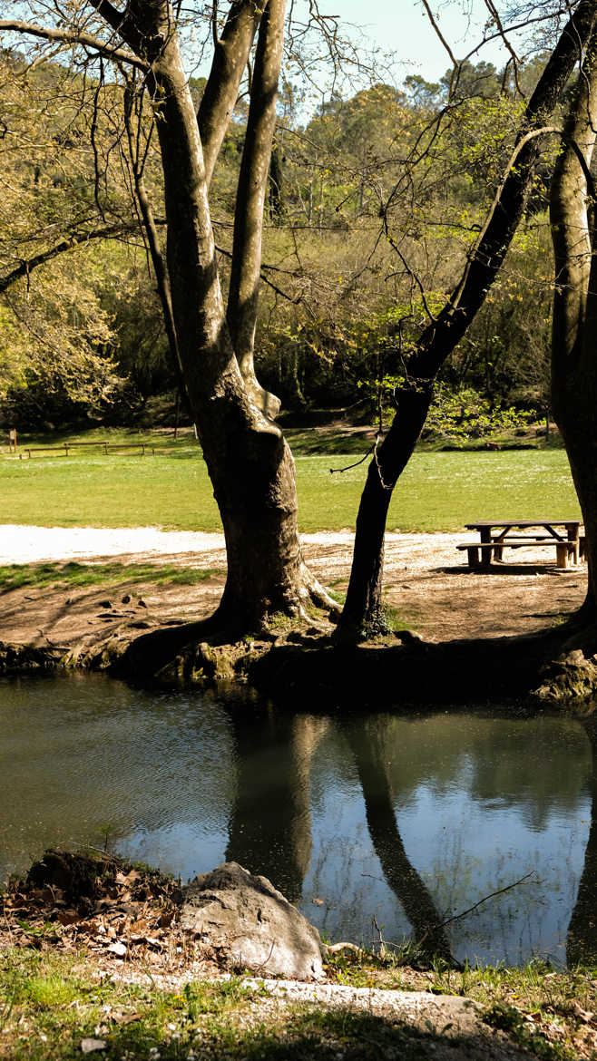 Calme et Reflets