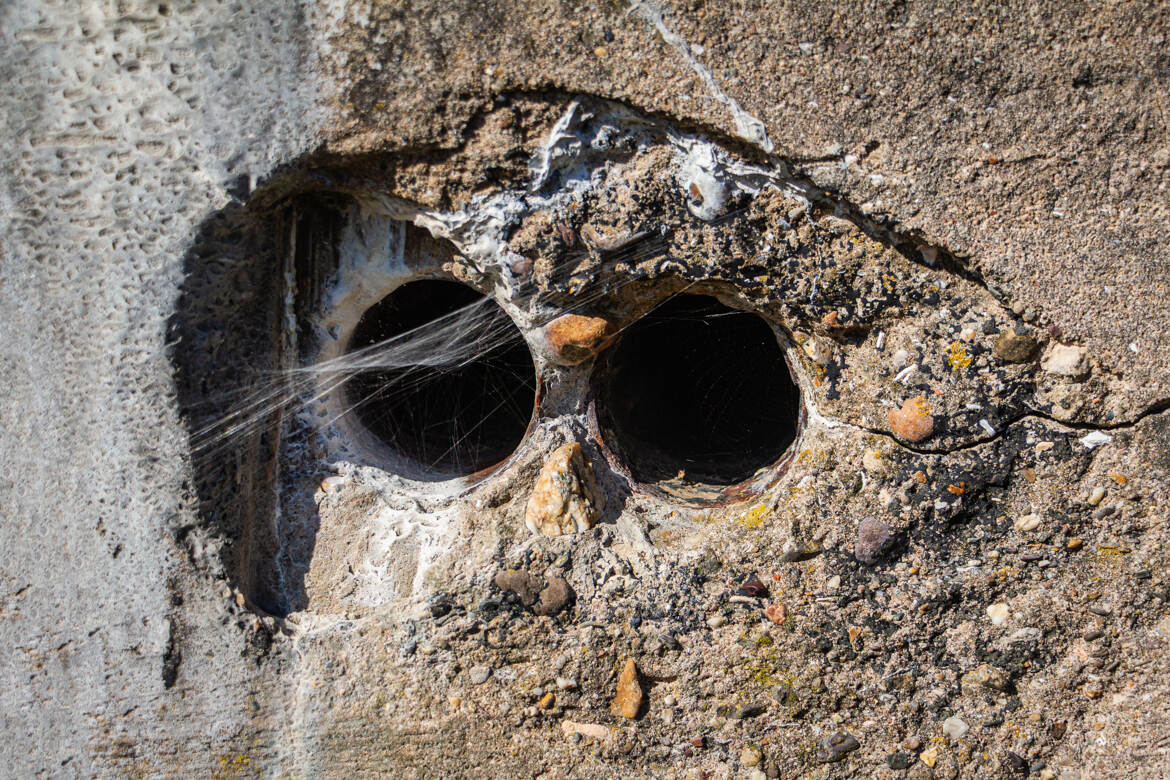 Le regard du photographe